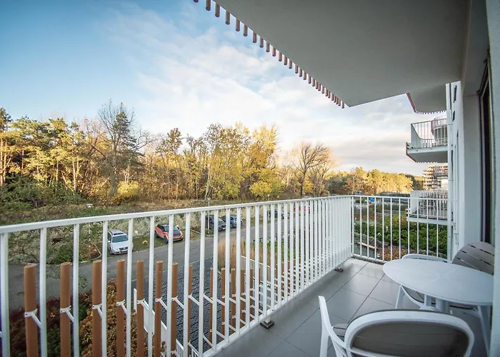 Na Wyspie - Albus & Rubus - Parking Świnoujście